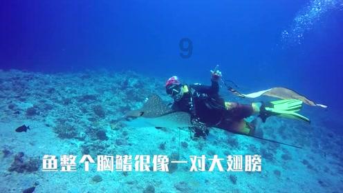 征东一场总是空，古代打仗，从哪个方向往哪打总是不好打？我爸爸以前和我讲过，可我不记得了游戏画面